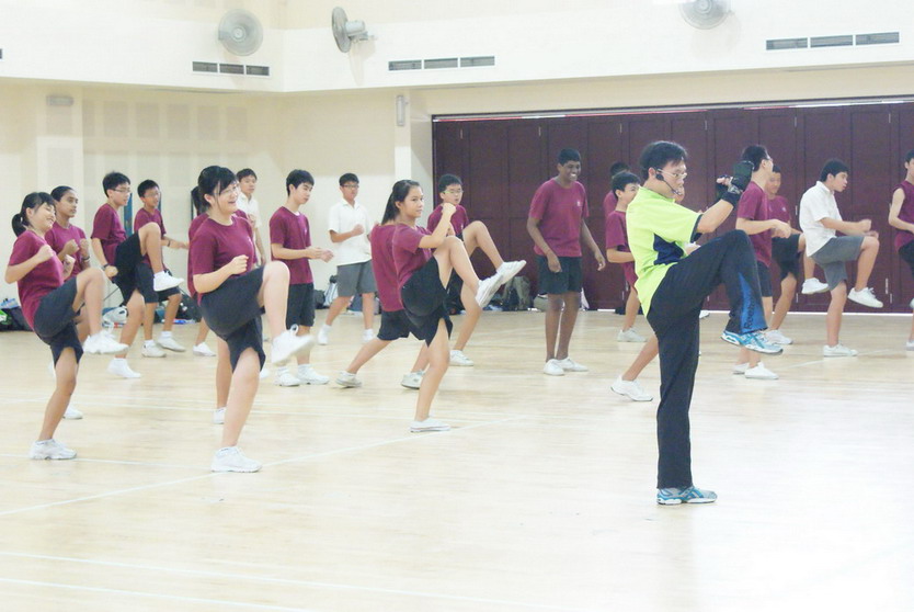 Wushu Kick Fit