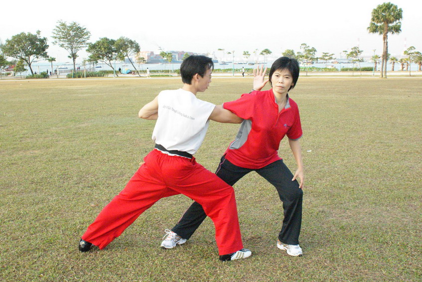 Wushu Self  Defense
