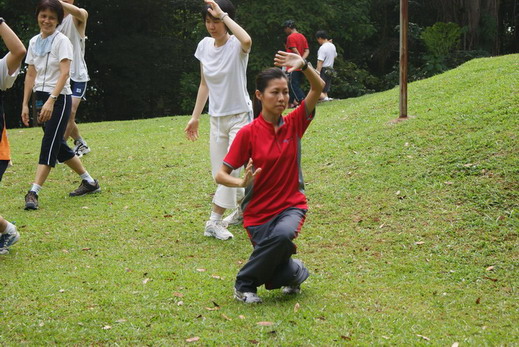 Dao Yin Shu