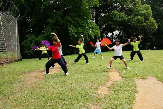 Tai Chi kungfu fan